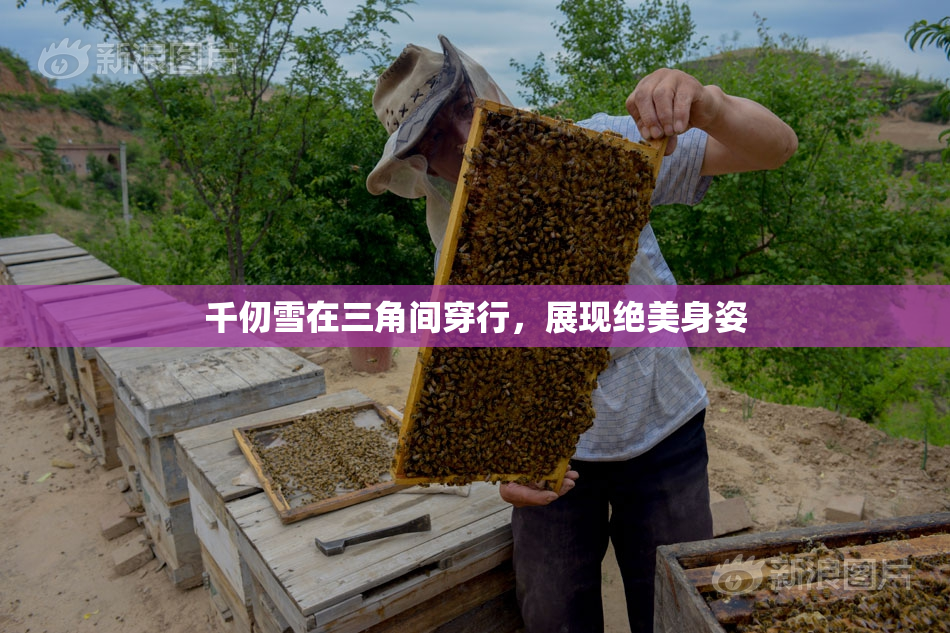 千仞雪在三角间穿行，展现绝美身姿
