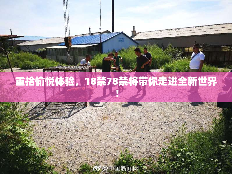 重拾愉悦体验，18禁78禁将带你走进全新世界！