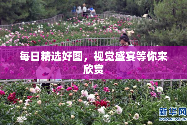 每日精选好图，视觉盛宴等你来欣赏