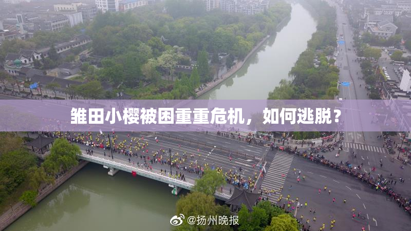 雏田小樱被困重重危机，如何逃脱？