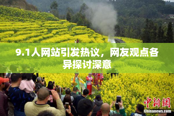 9.1人网站引发热议，网友观点各异探讨深意