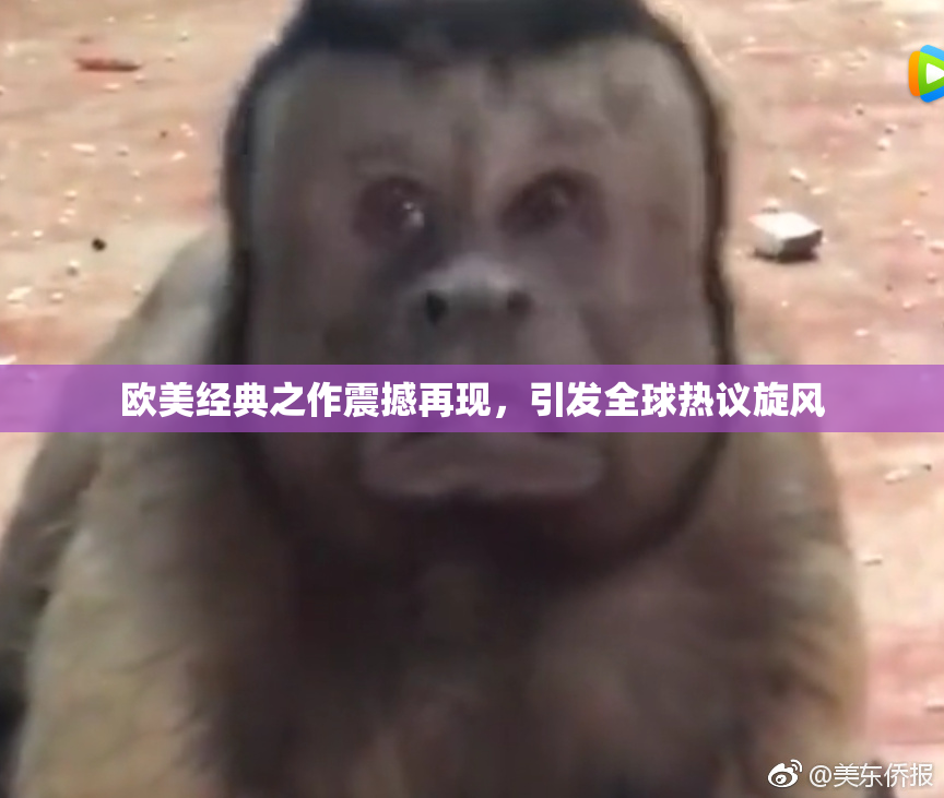 欧美经典之作震撼再现，引发全球热议旋风