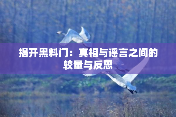 揭开黑料门：真相与谣言之间的较量与反思