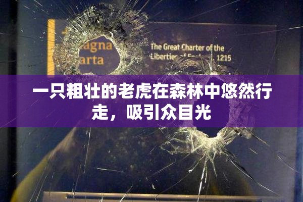 一只粗壮的老虎在森林中悠然行走，吸引众目光