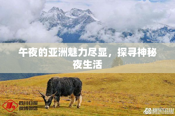 午夜的亚洲魅力尽显，探寻神秘夜生活