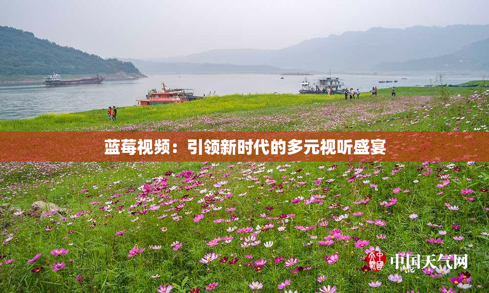 蓝莓视频：引领新时代的多元视听盛宴