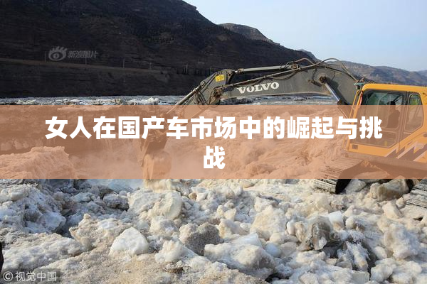 女人在国产车市场中的崛起与挑战