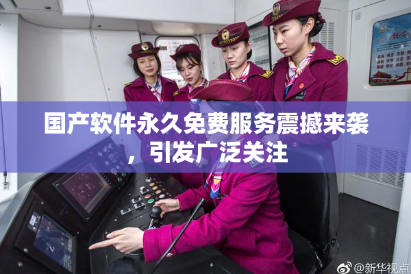 国产软件永久免费服务震撼来袭，引发广泛关注