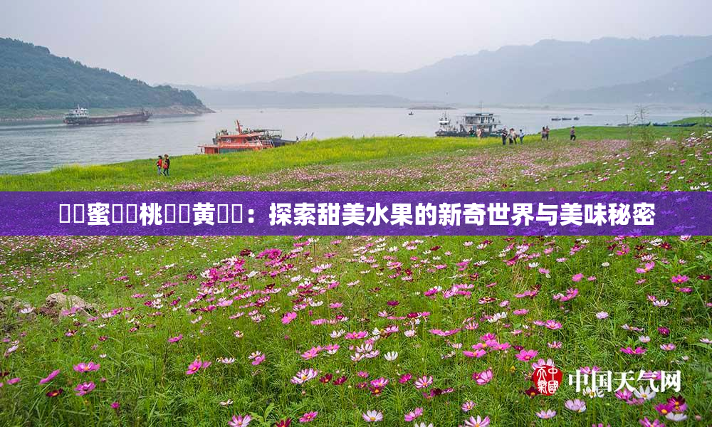 ❌‌蜜❌‌桃❌‌黄❌‌：探索甜美水果的新奇世界与美味秘密