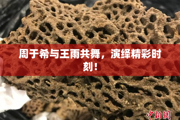 周于希与王雨共舞，演绎精彩时刻！
