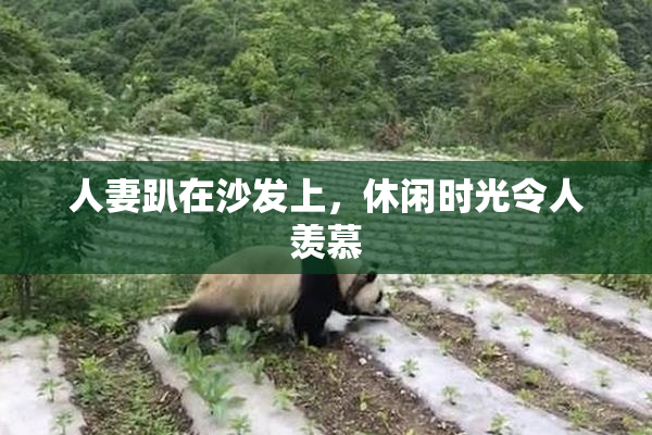 人妻趴在沙发上，休闲时光令人羡慕