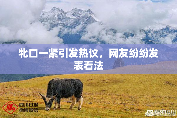 牝口一紧引发热议，网友纷纷发表看法