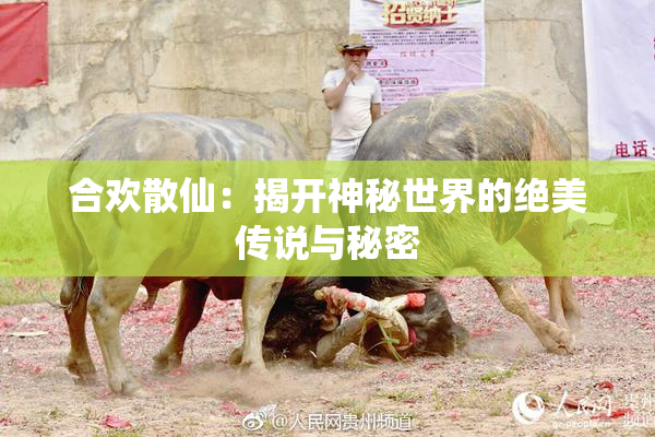 合欢散仙：揭开神秘世界的绝美传说与秘密