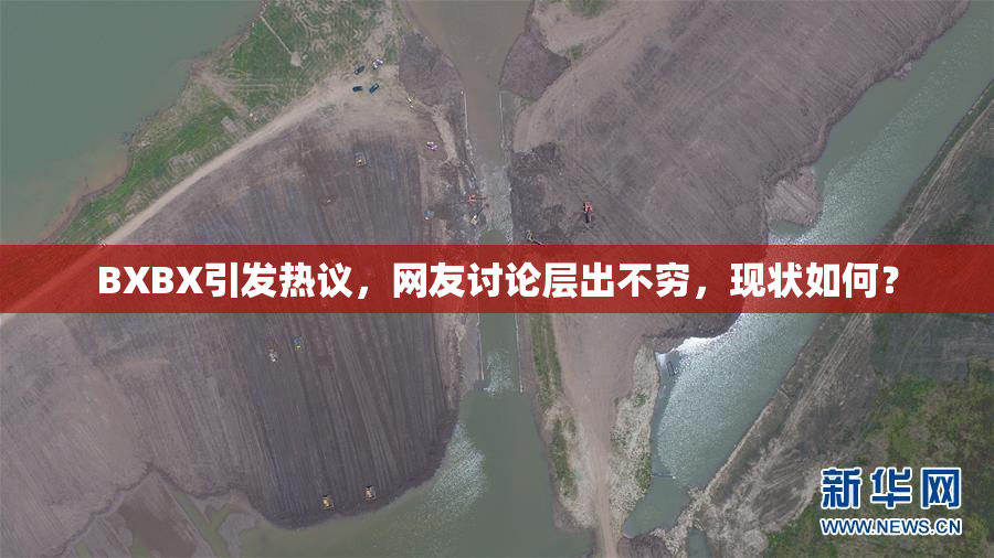 BXBX引发热议，网友讨论层出不穷，现状如何？