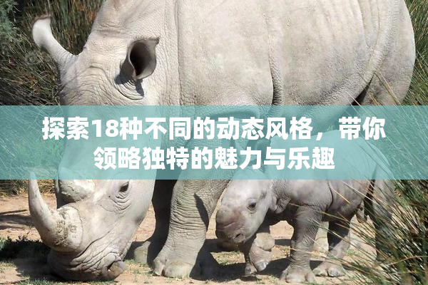 探索18种不同的动态风格，带你领略独特的魅力与乐趣