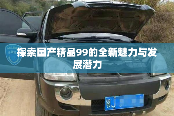 探索国产精品99的全新魅力与发展潜力