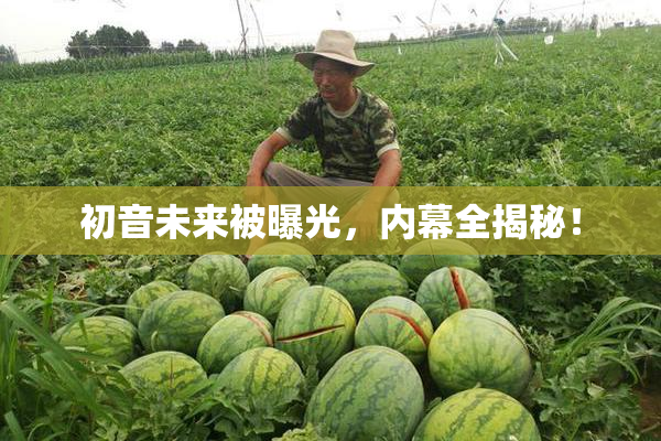 初音未来被曝光，内幕全揭秘！