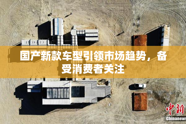 国产新款车型引领市场趋势，备受消费者关注