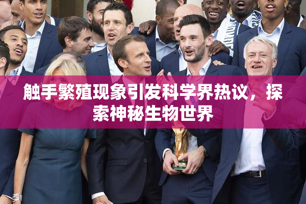 触手繁殖现象引发科学界热议，探索神秘生物世界
