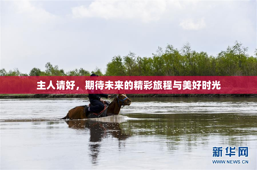 主人请好，期待未来的精彩旅程与美好时光