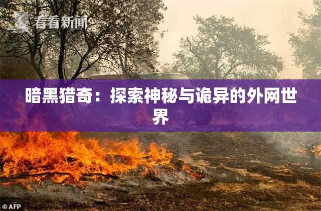 暗黑猎奇：探索神秘与诡异的外网世界