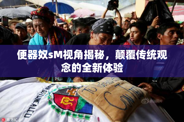便器奴sM视角揭秘，颠覆传统观念的全新体验
