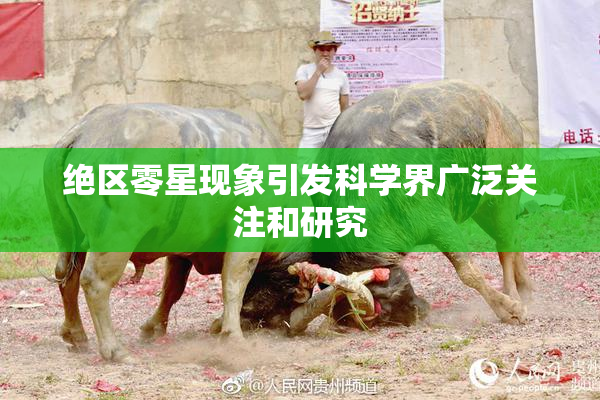 绝区零星现象引发科学界广泛关注和研究