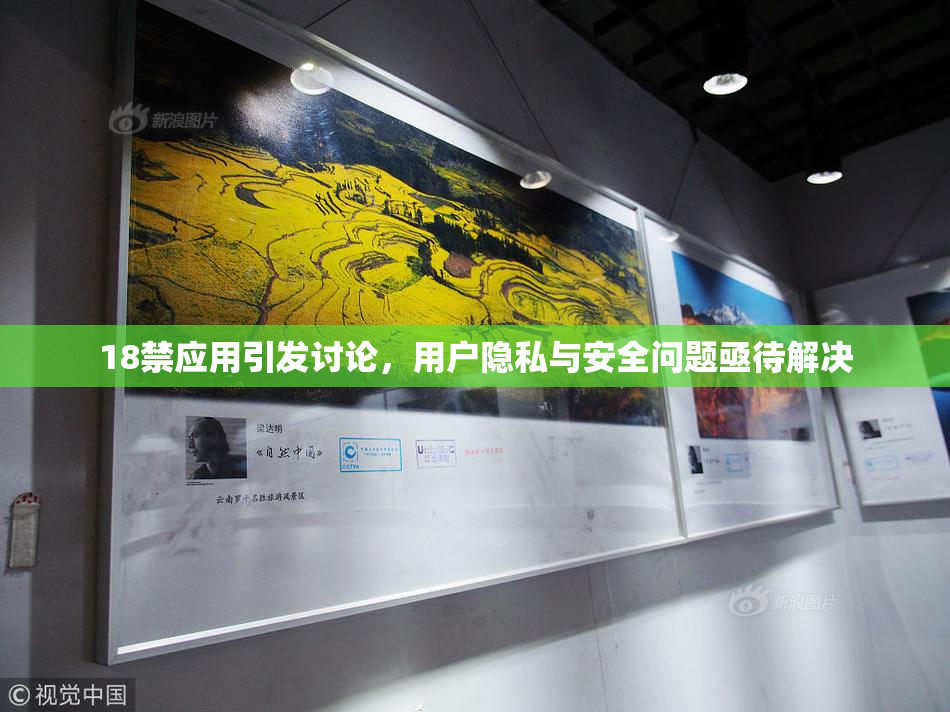 18禁应用引发讨论，用户隐私与安全问题亟待解决