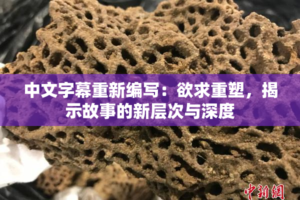 中文字幕重新编写：欲求重塑，揭示故事的新层次与深度