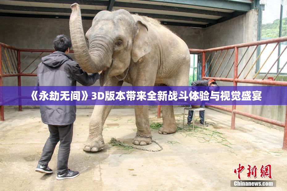 《永劫无间》3D版本带来全新战斗体验与视觉盛宴
