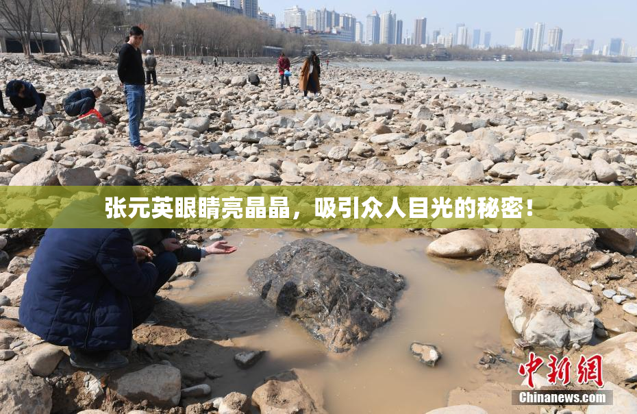 张元英眼睛亮晶晶，吸引众人目光的秘密！