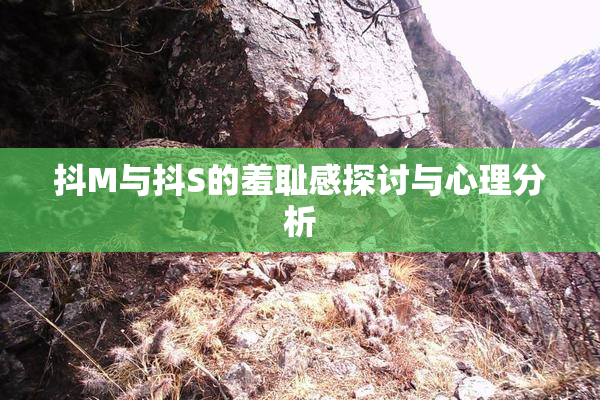 抖M与抖S的羞耻感探讨与心理分析