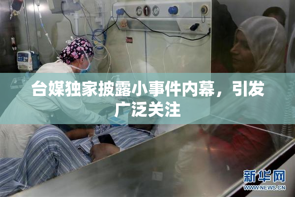 台媒独家披露小事件内幕，引发广泛关注