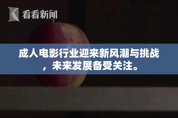 成人电影行业迎来新风潮与挑战，未来发展备受关注。