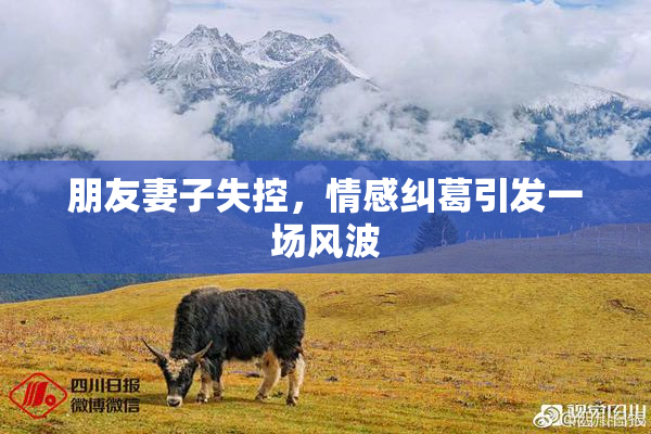 朋友妻子失控，情感纠葛引发一场风波