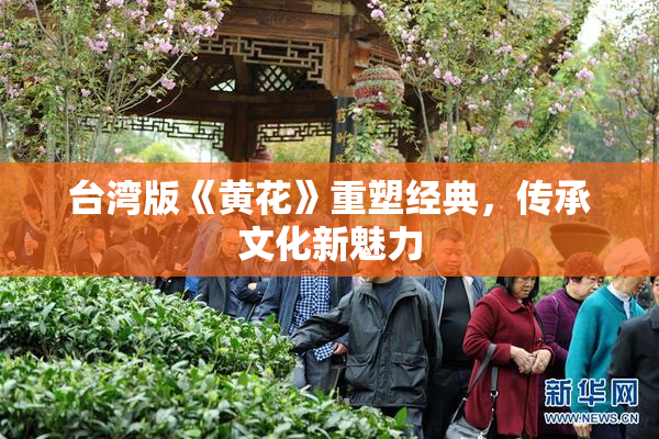 台湾版《黄花》重塑经典，传承文化新魅力