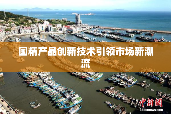 国精产品创新技术引领市场新潮流