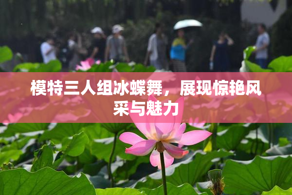 模特三人组冰蝶舞，展现惊艳风采与魅力