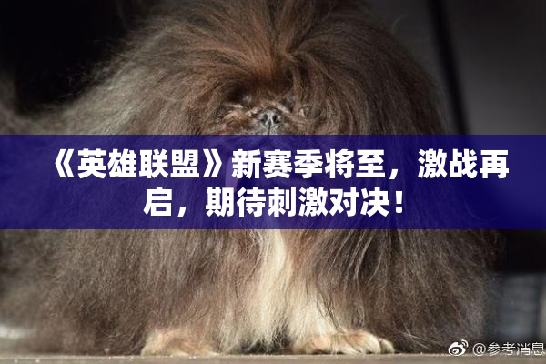 《英雄联盟》新赛季将至，激战再启，期待刺激对决！