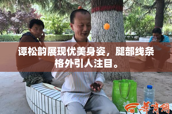 谭松韵展现优美身姿，腿部线条格外引人注目。