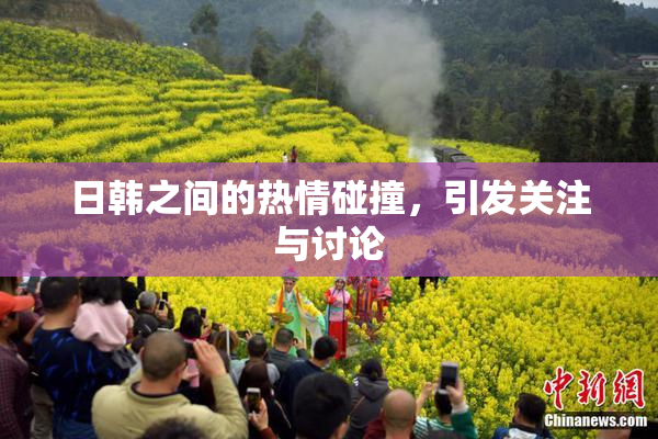 日韩之间的热情碰撞，引发关注与讨论