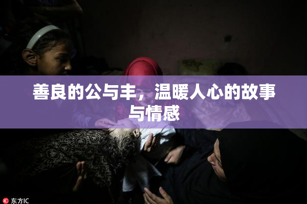 善良的公与丰，温暖人心的故事与情感