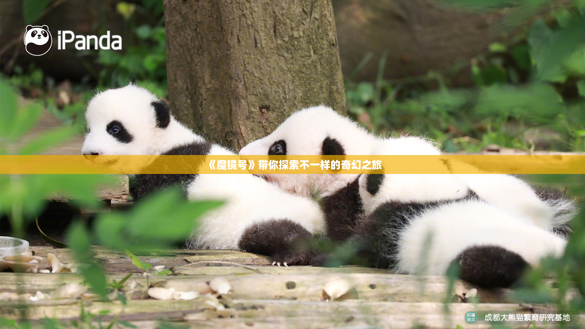 《魔镜号》带你探索不一样的奇幻之旅