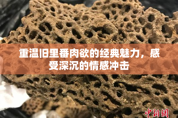 重温旧里番肉欲的经典魅力，感受深沉的情感冲击