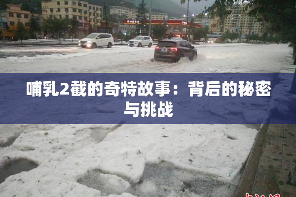 哺乳2截的奇特故事：背后的秘密与挑战