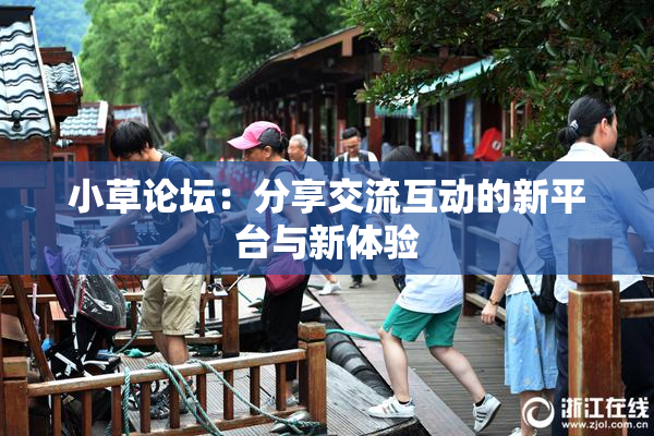 小草论坛：分享交流互动的新平台与新体验