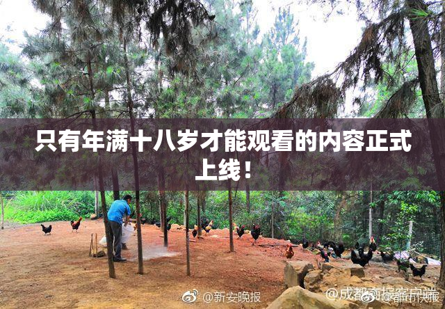 只有年满十八岁才能观看的内容正式上线！