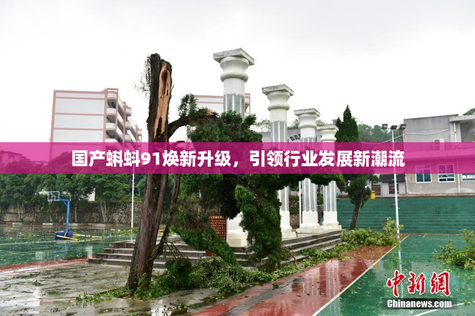 国产蝌蚪91焕新升级，引领行业发展新潮流
