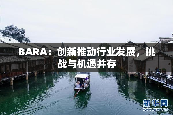 BARA：创新推动行业发展，挑战与机遇并存