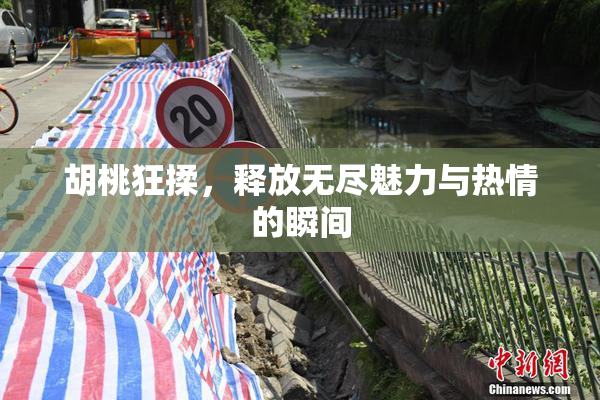 胡桃狂揉，释放无尽魅力与热情的瞬间